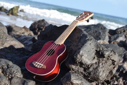 Ukulele rantakivikolla, taustalla meri.